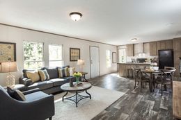 The THE BREEZE Living Room. This Manufactured Mobile Home features 3 bedrooms and 2 baths.