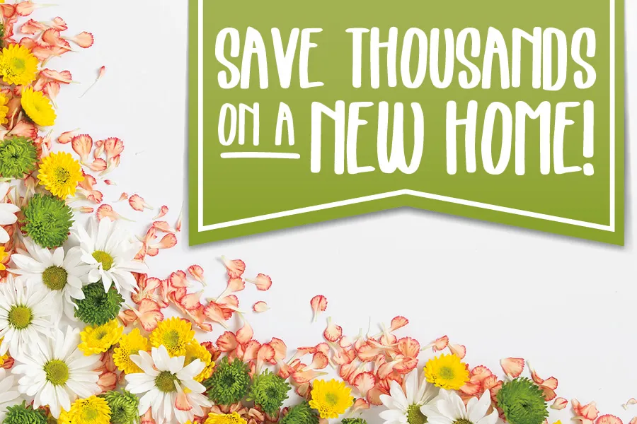 Lot Model Clearance! image