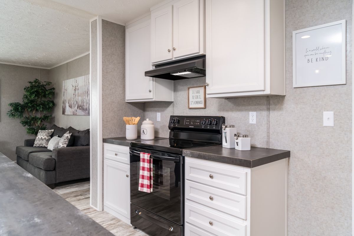 The BENJAMIN Exterior. This Manufactured Mobile Home features 3 bedrooms and 2 baths.
