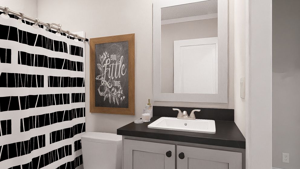 The MY GIRL Guest Bathroom. This Manufactured Mobile Home features 3 bedrooms and 2 baths.