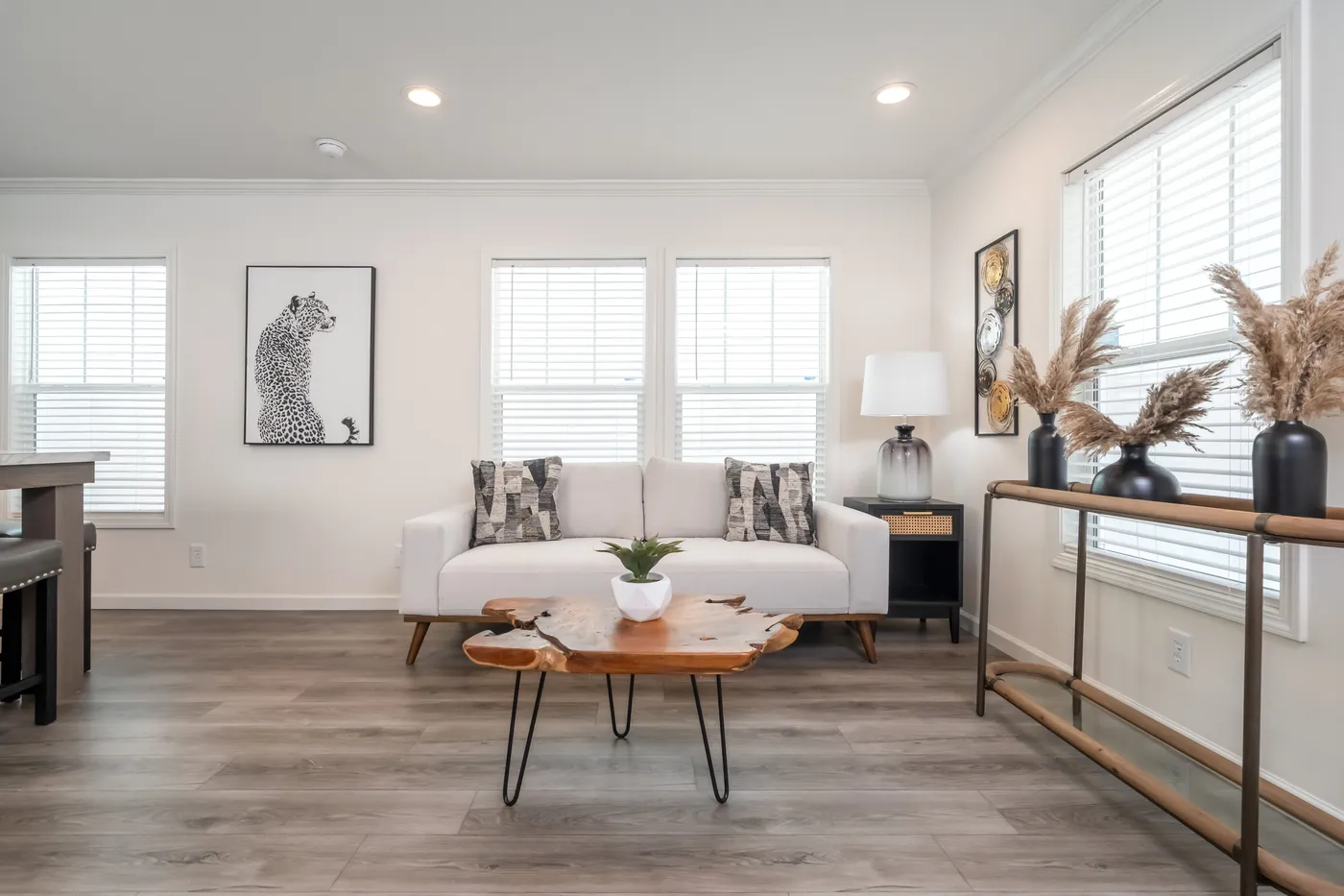 The 4200 "SOUTHPORT" 58'4X16 Living Room. This Manufactured Mobile Home features 2 bedrooms and 2 baths.