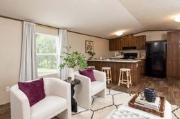 The CELEBRATION Living Room. This Manufactured Mobile Home features 3 bedrooms and 2 baths.