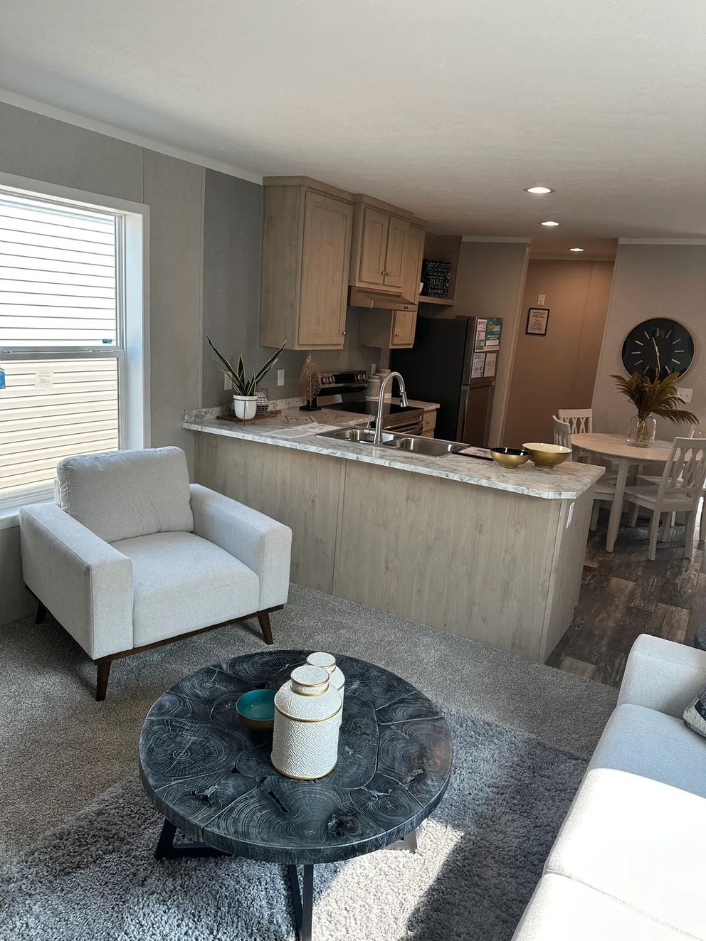 The TOPAZ Living Room. This Manufactured Mobile Home features 3 bedrooms and 2 baths.