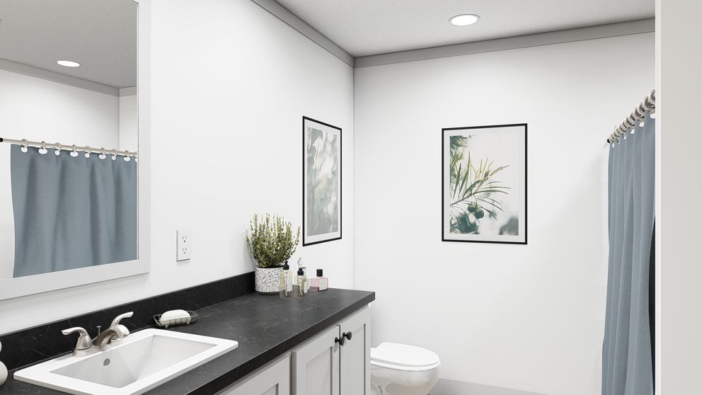 The WONDERFUL WORLD Guest Bathroom. This Manufactured Mobile Home features 3 bedrooms and 2 baths.