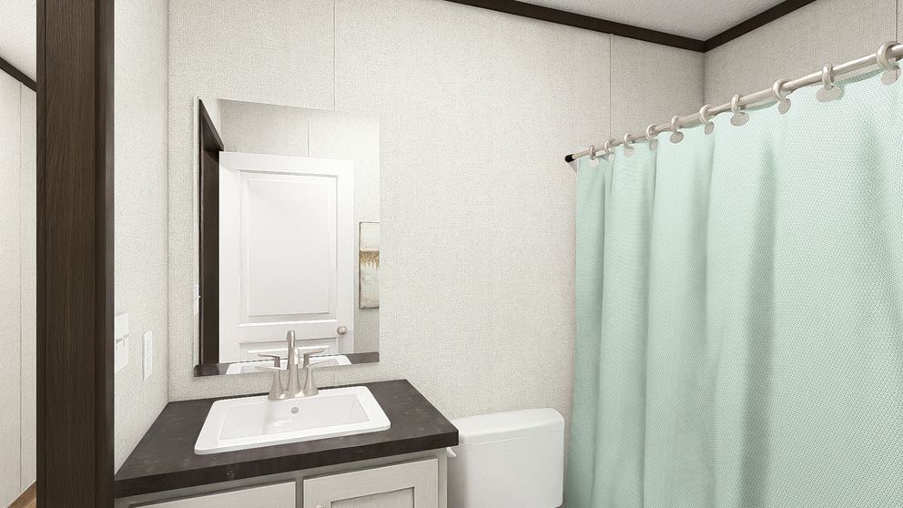 The DYNAMIC Guest Bathroom. This Manufactured Mobile Home features 3 bedrooms and 2 baths.