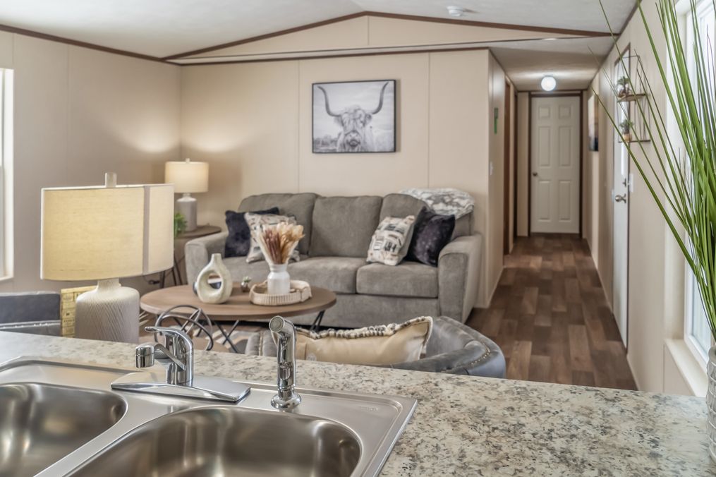 The ELATION Living Room. This Manufactured Mobile Home features 3 bedrooms and 2 baths.