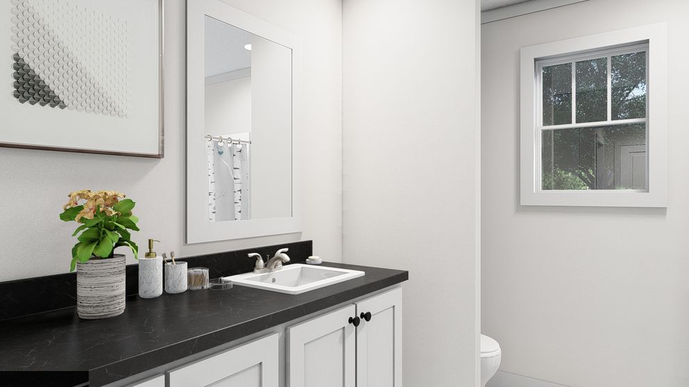 The ROCKET MAN Guest Bathroom. This Manufactured Mobile Home features 3 bedrooms and 2 baths.