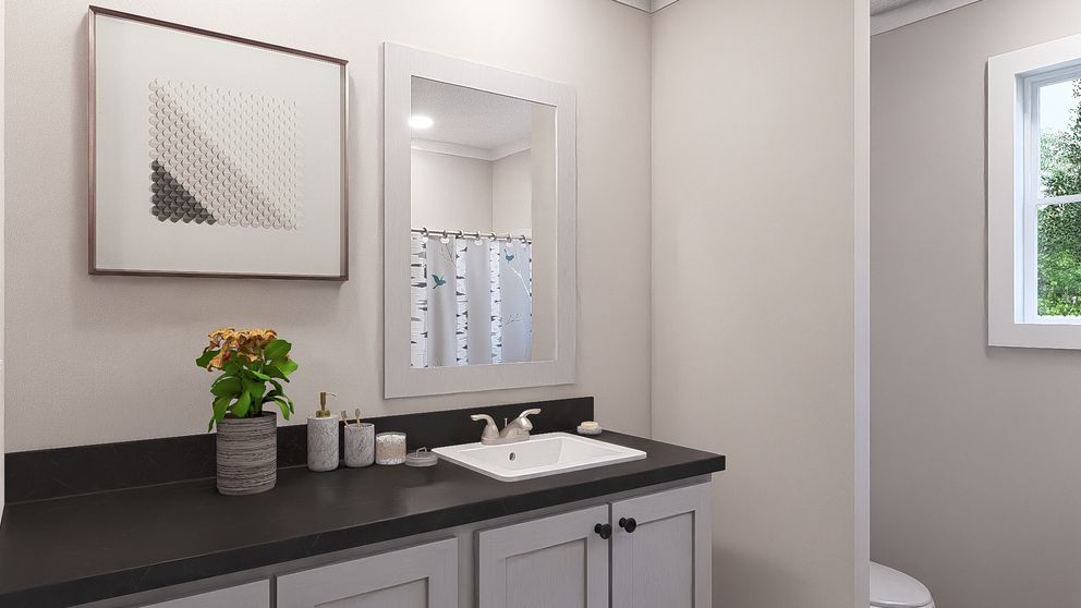 The ROCKET MAN Guest Bathroom. This Manufactured Mobile Home features 3 bedrooms and 2 baths.