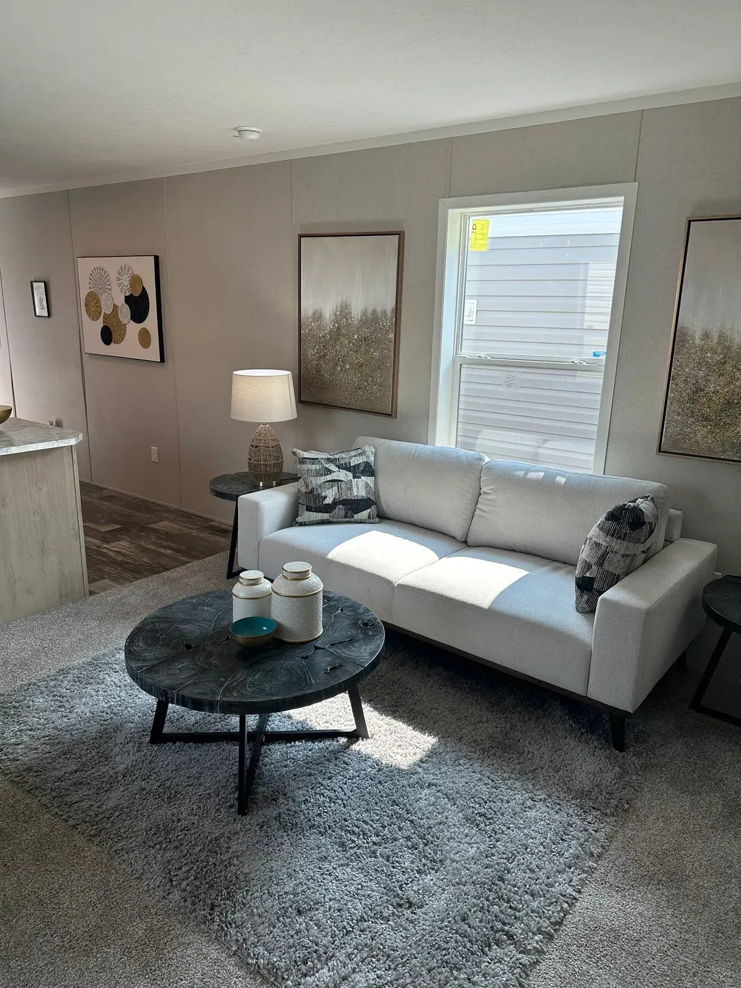 The TOPAZ Living Room. This Manufactured Mobile Home features 3 bedrooms and 2 baths.