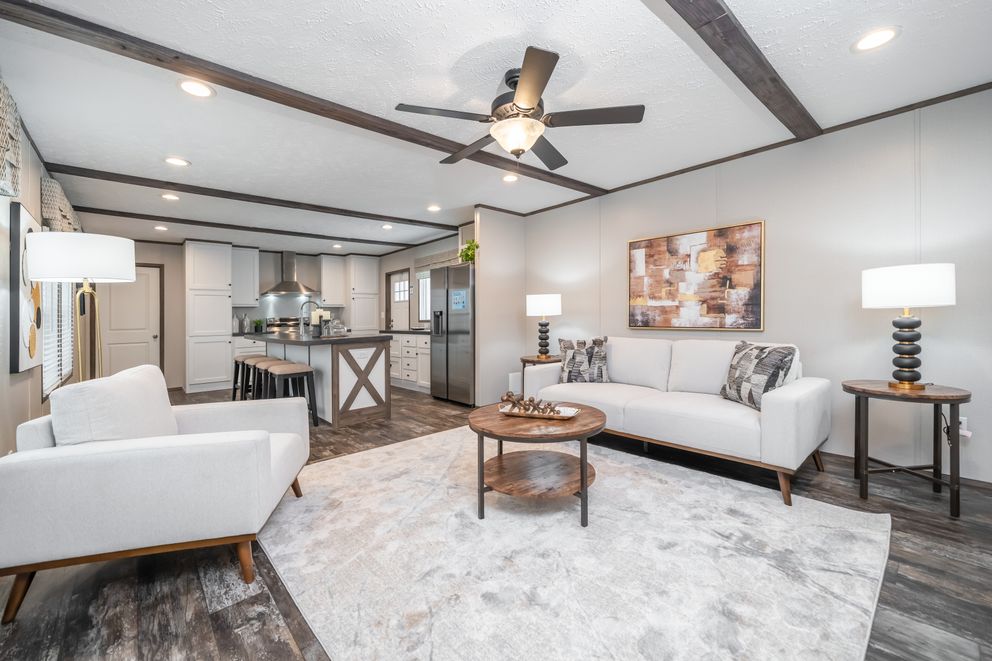The THE GENERAL Living Room. This Manufactured Mobile Home features 3 bedrooms and 2 baths.