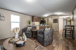 The ELATION Living Room. This Manufactured Mobile Home features 3 bedrooms and 2 baths.