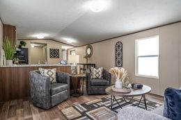 The ELATION Living Room. This Manufactured Mobile Home features 3 bedrooms and 2 baths.