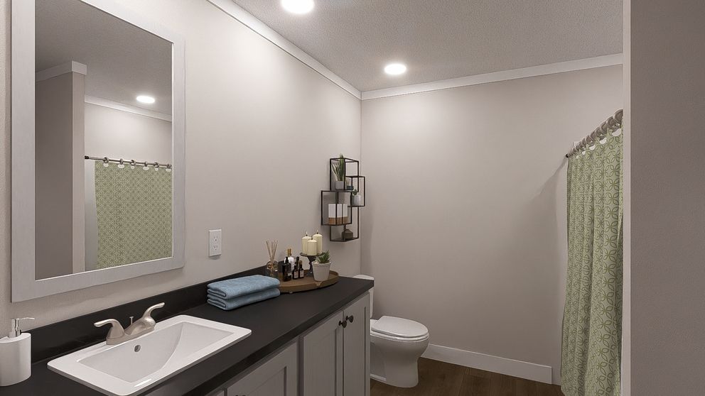 The LEAN ON ME Guest Bathroom. This Manufactured Mobile Home features 3 bedrooms and 2 baths.