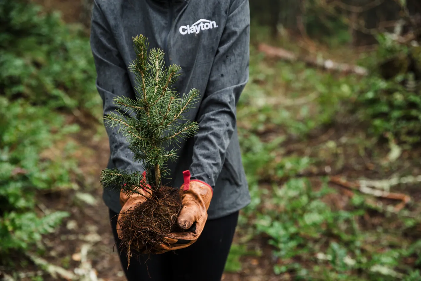 Our Commitment to Sustainability image