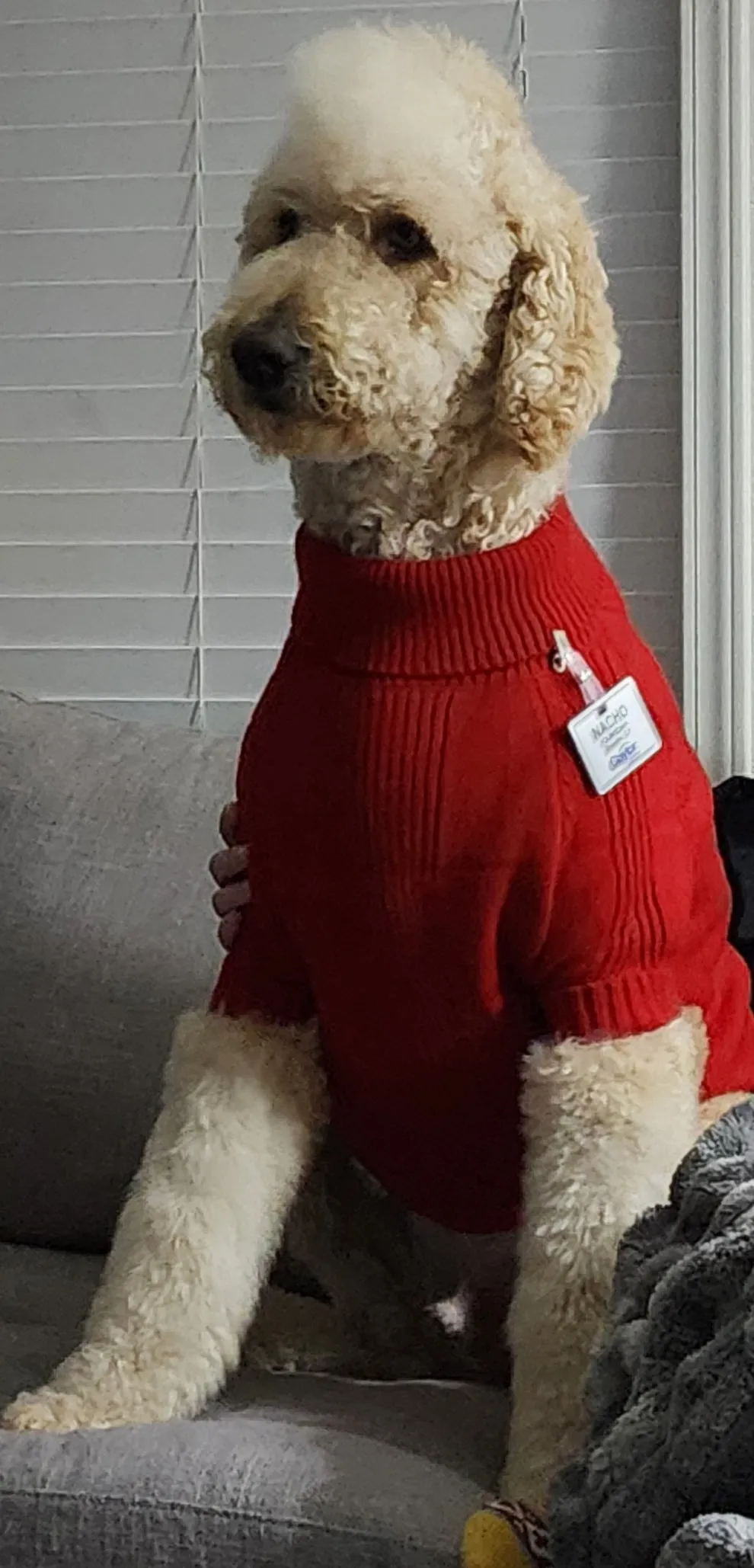 "Nacho" Unofficial Mascot