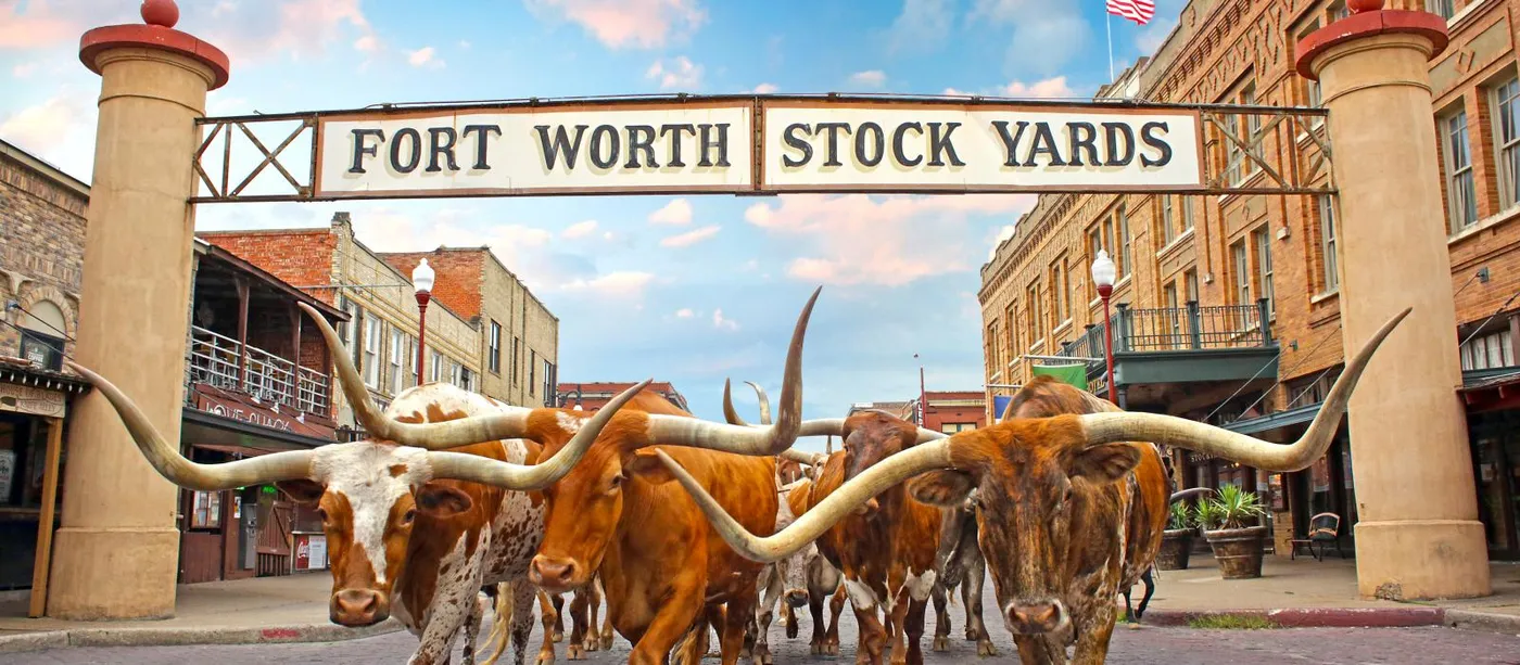 Best Manufactured Homes in DFW
