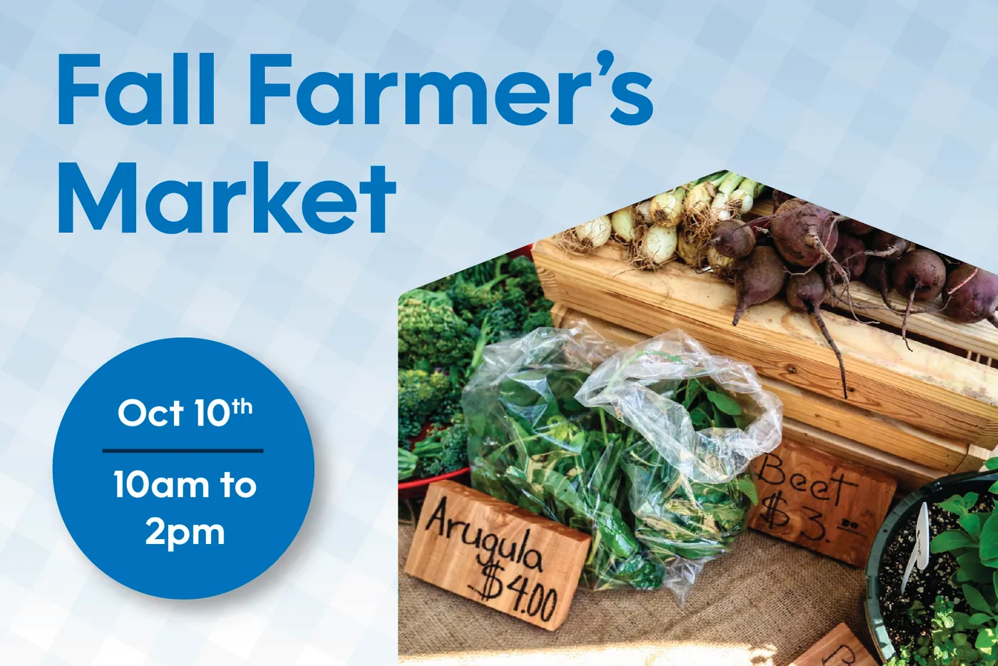 Fall Farmer's Market