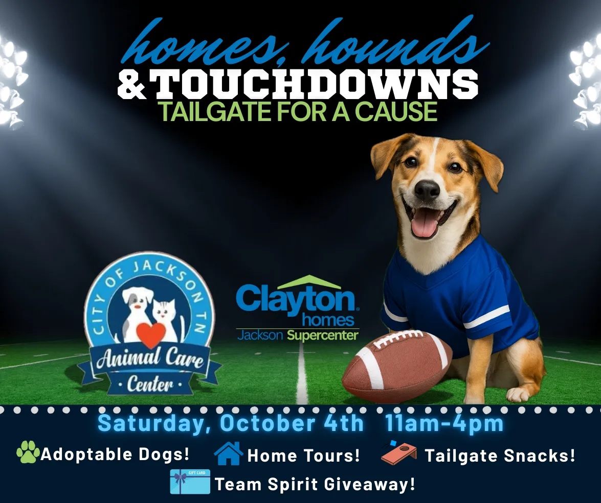 Homes, Hounds & Touchdowns!