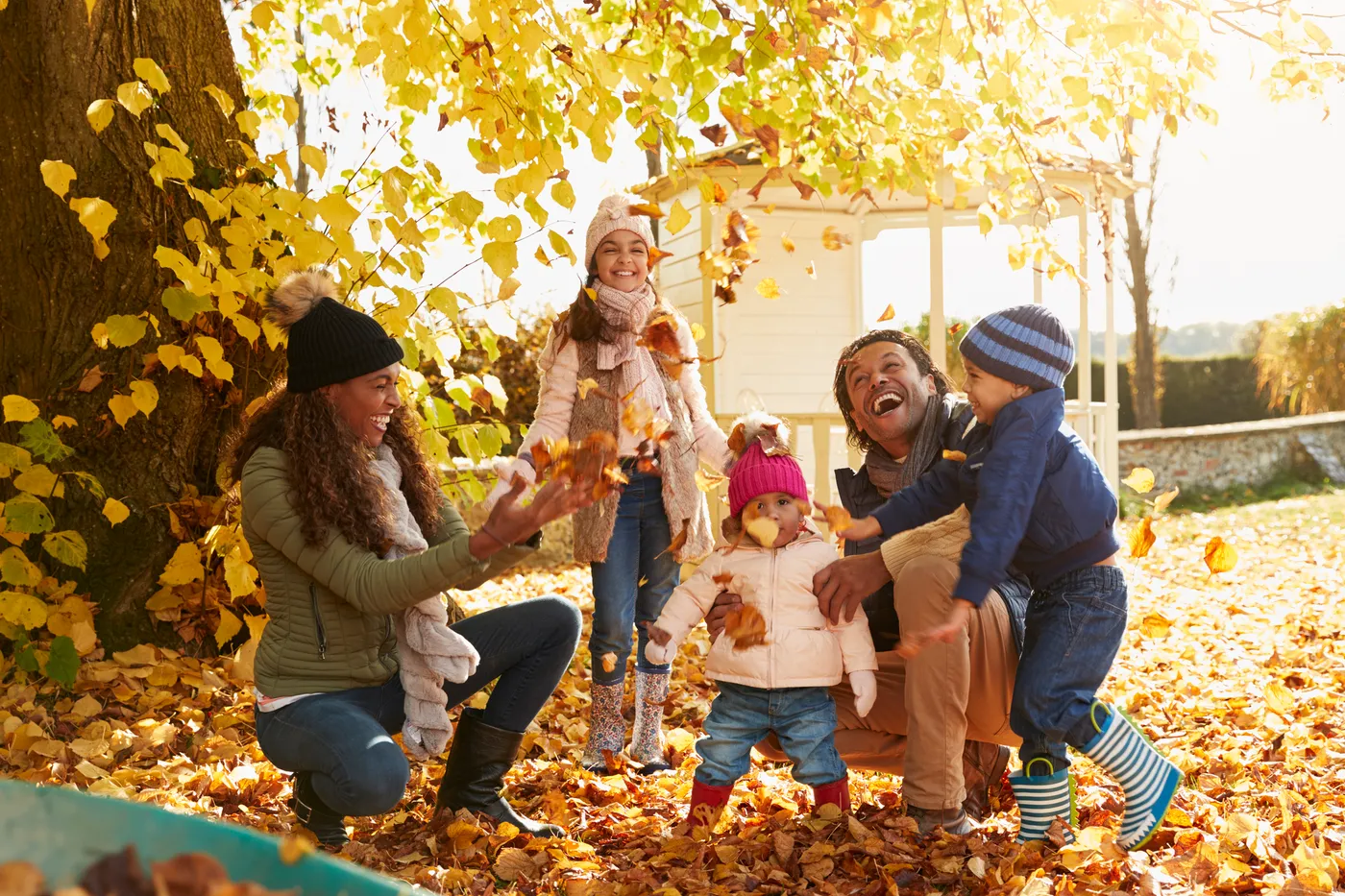 Fall Season image