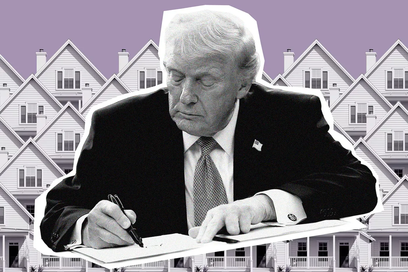 President Trump Establishes Task Force MHI