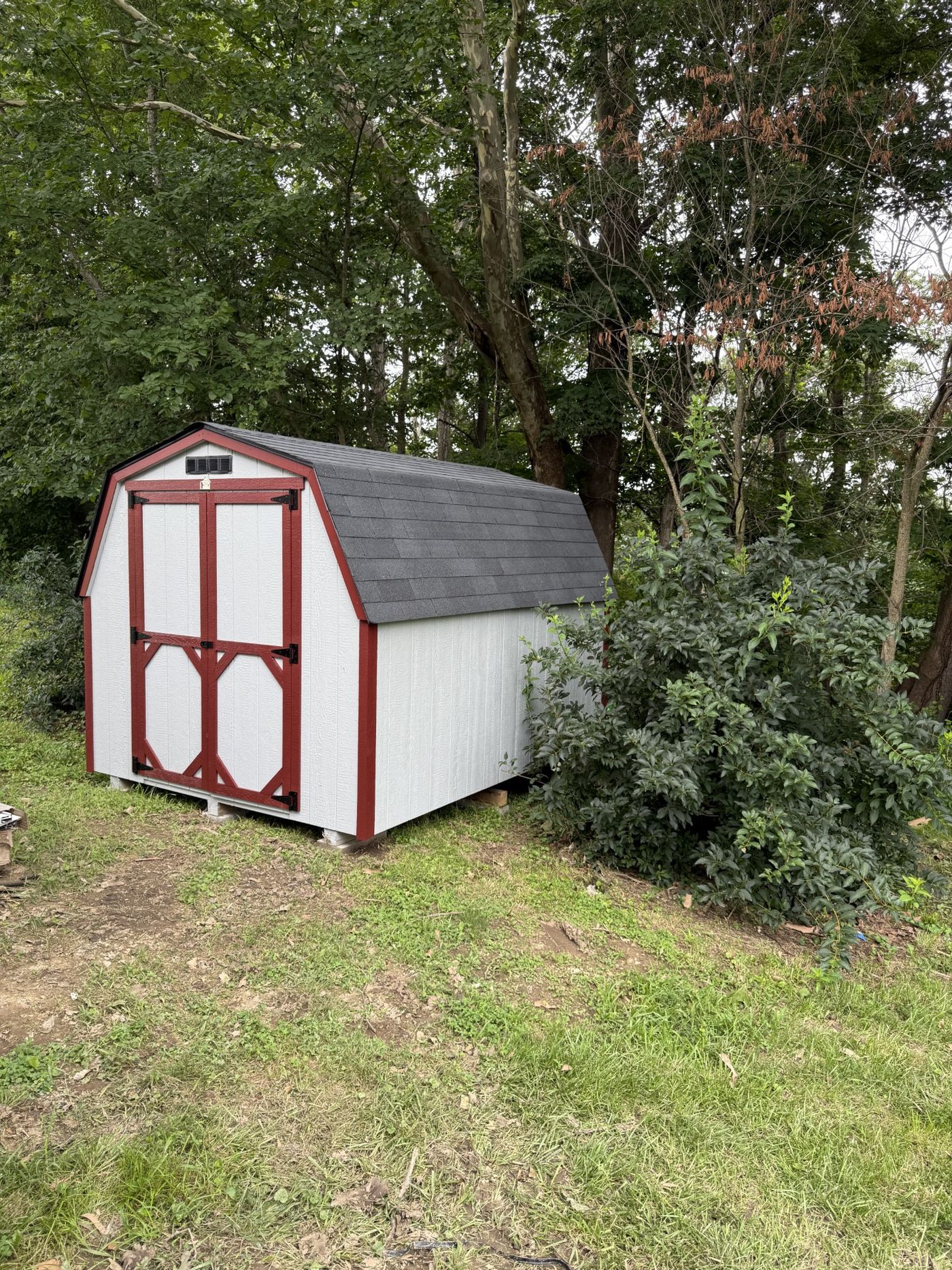 Shed