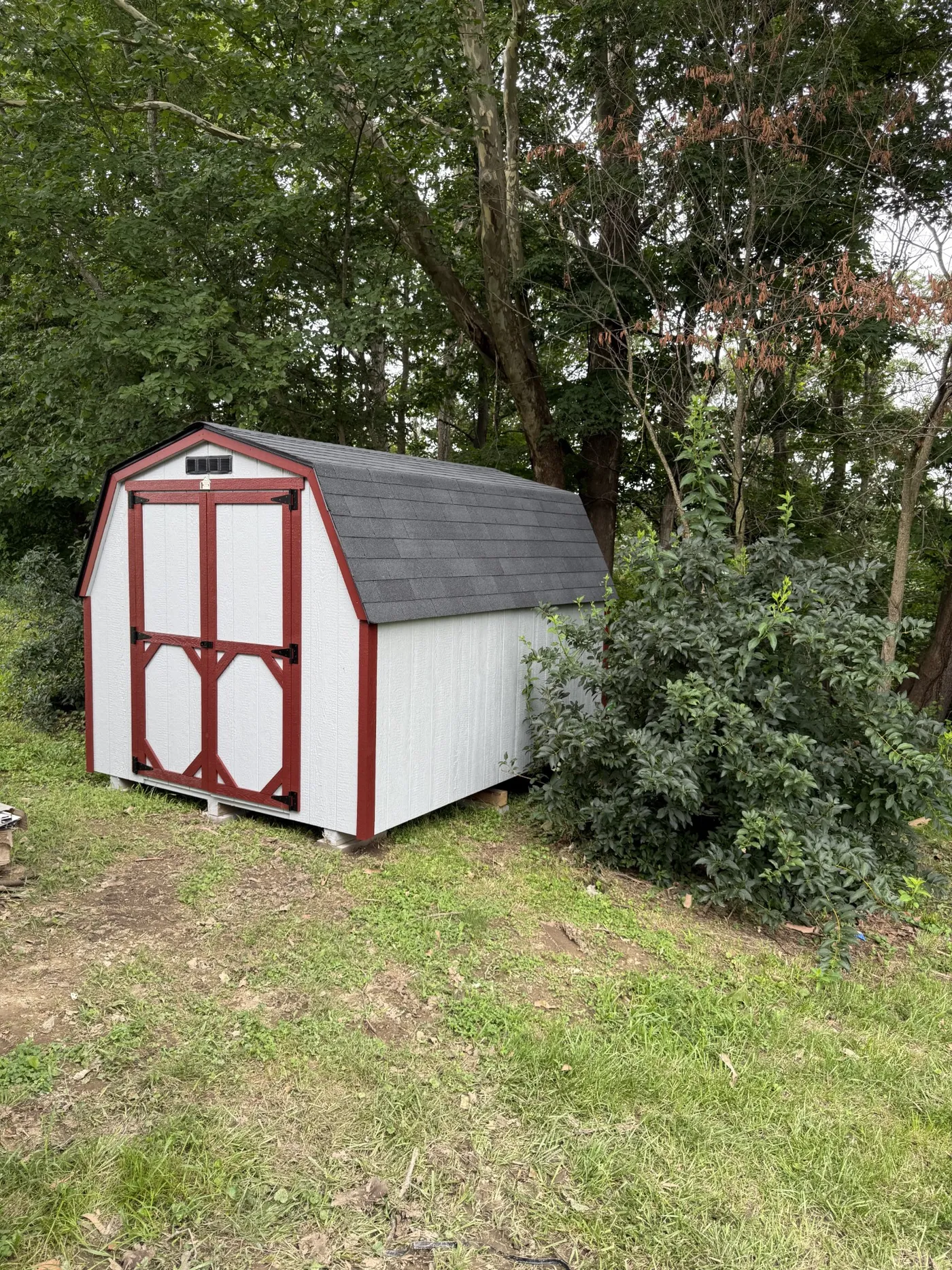 Shed