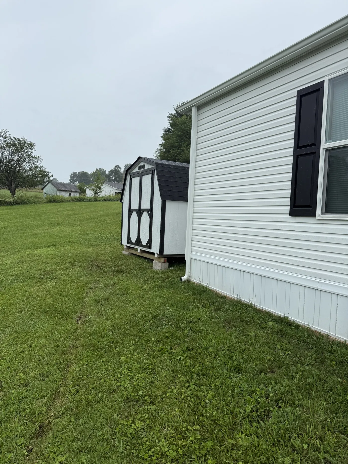 Shed