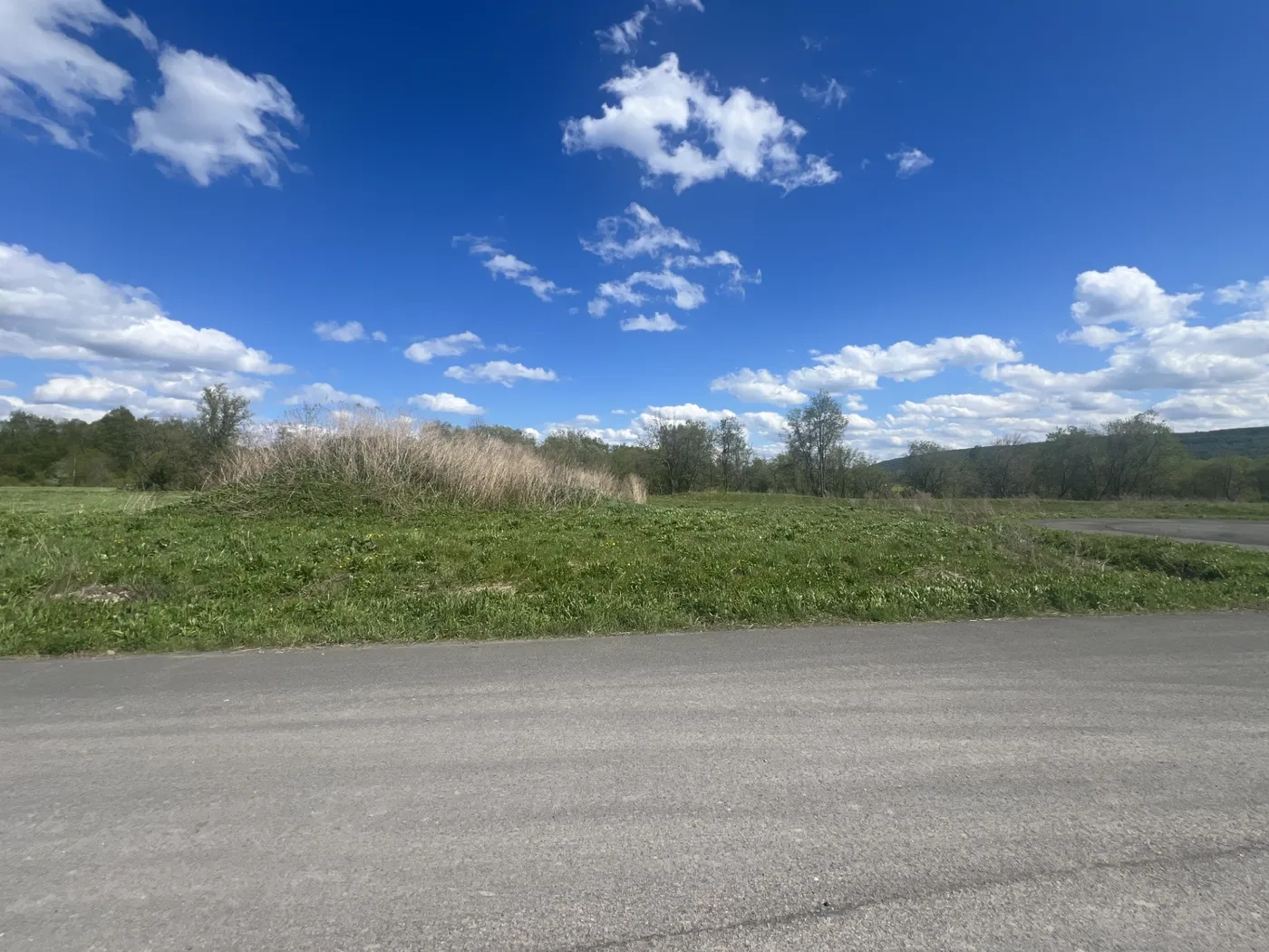 lot 26
