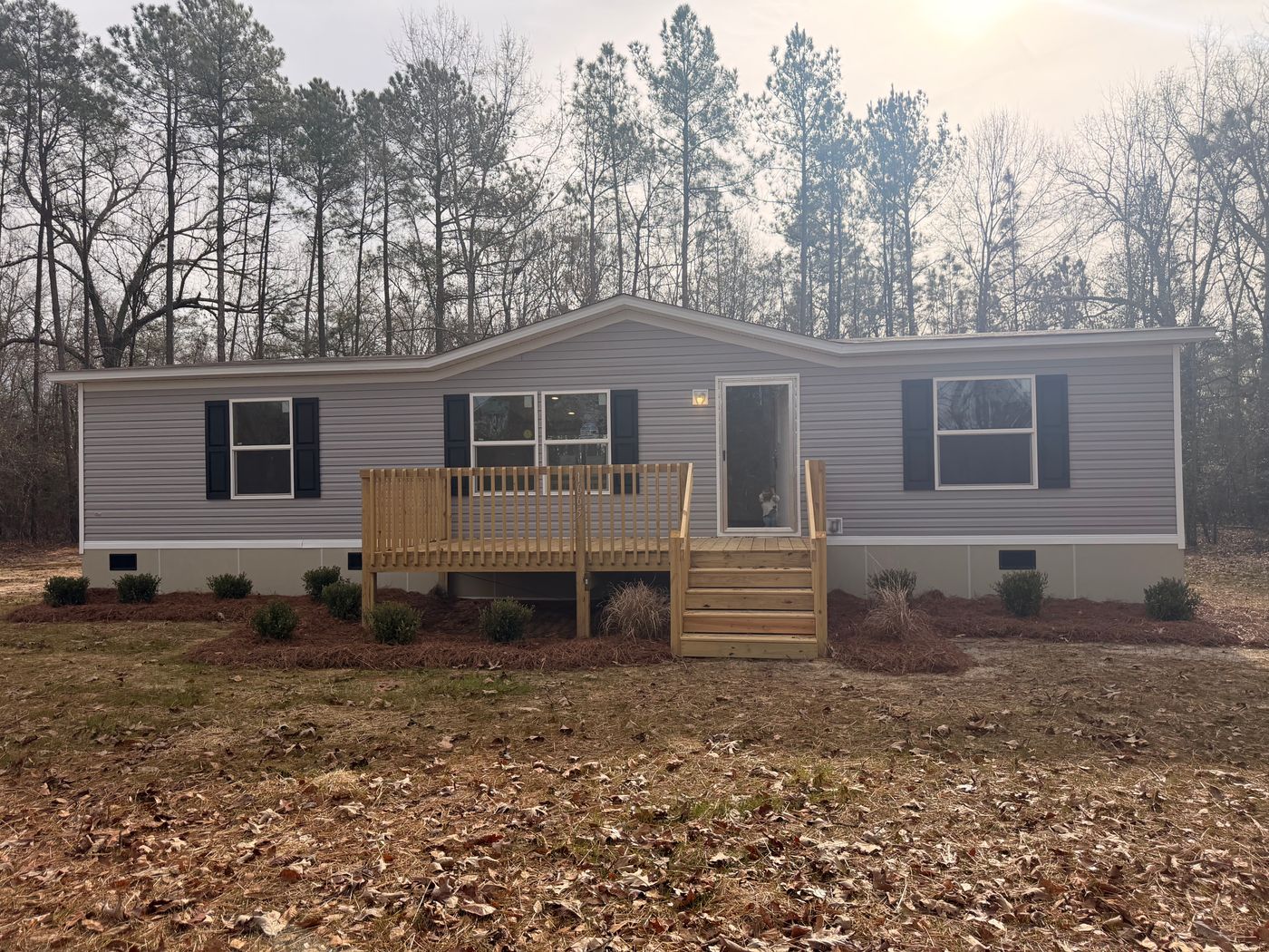 home image