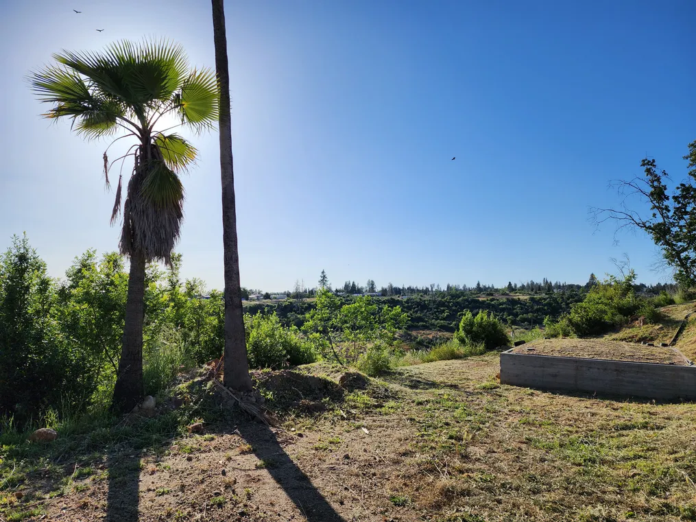 View towards the west from lower yard.