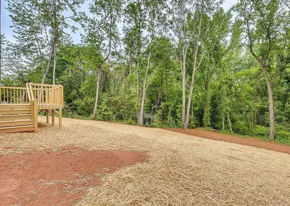 Back yard 