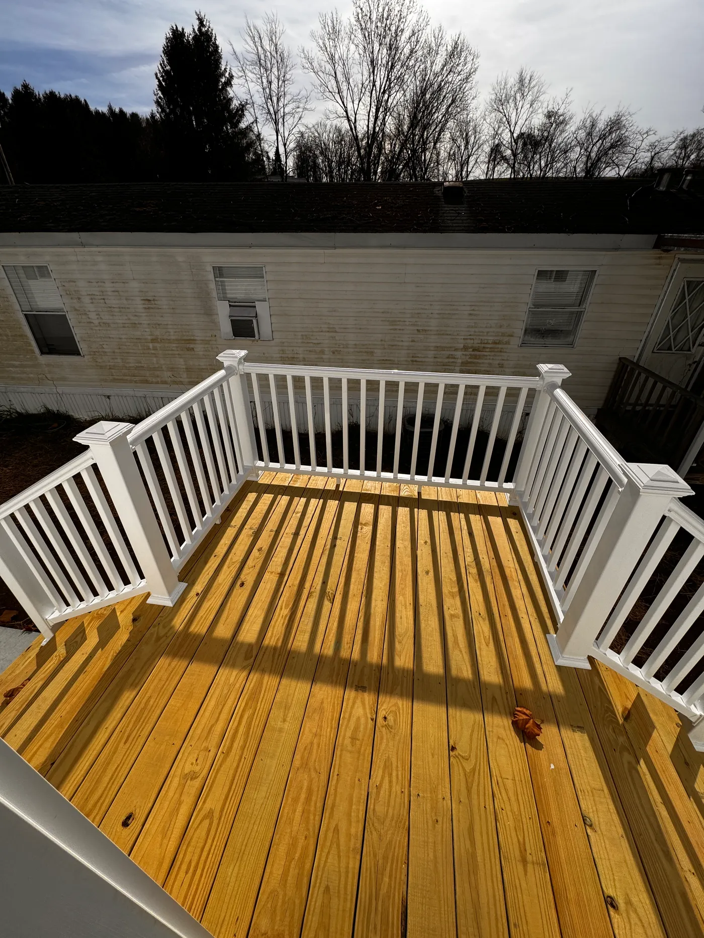 Back deck with steps on either side
