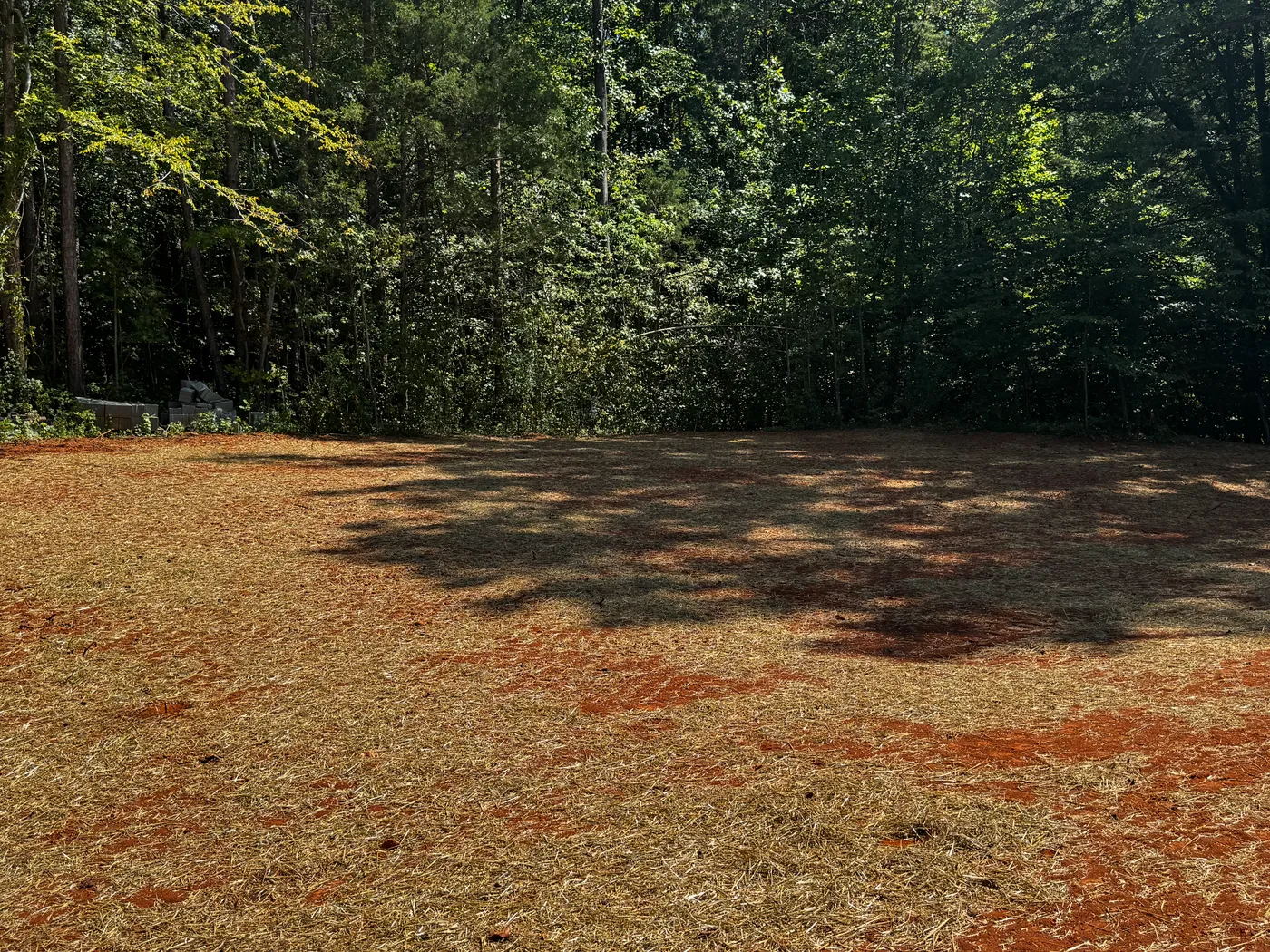 1.25 Acre lot with large back yard