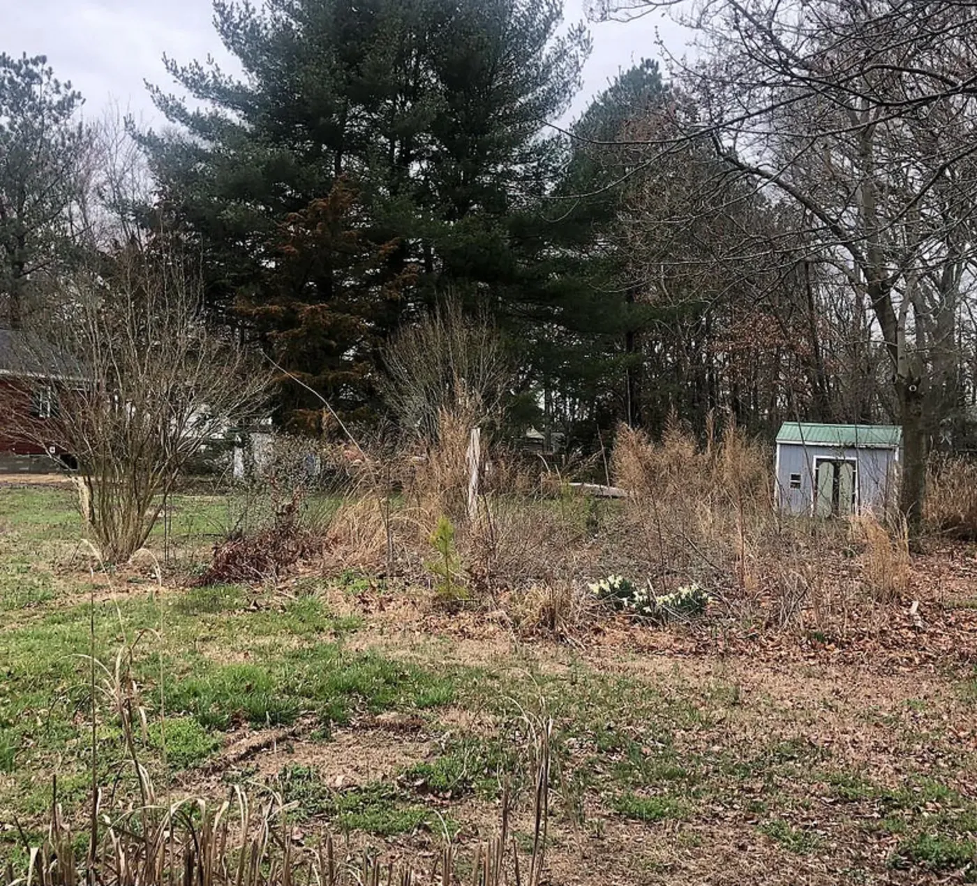 View of the featured lot "Catena Coming Soon" 