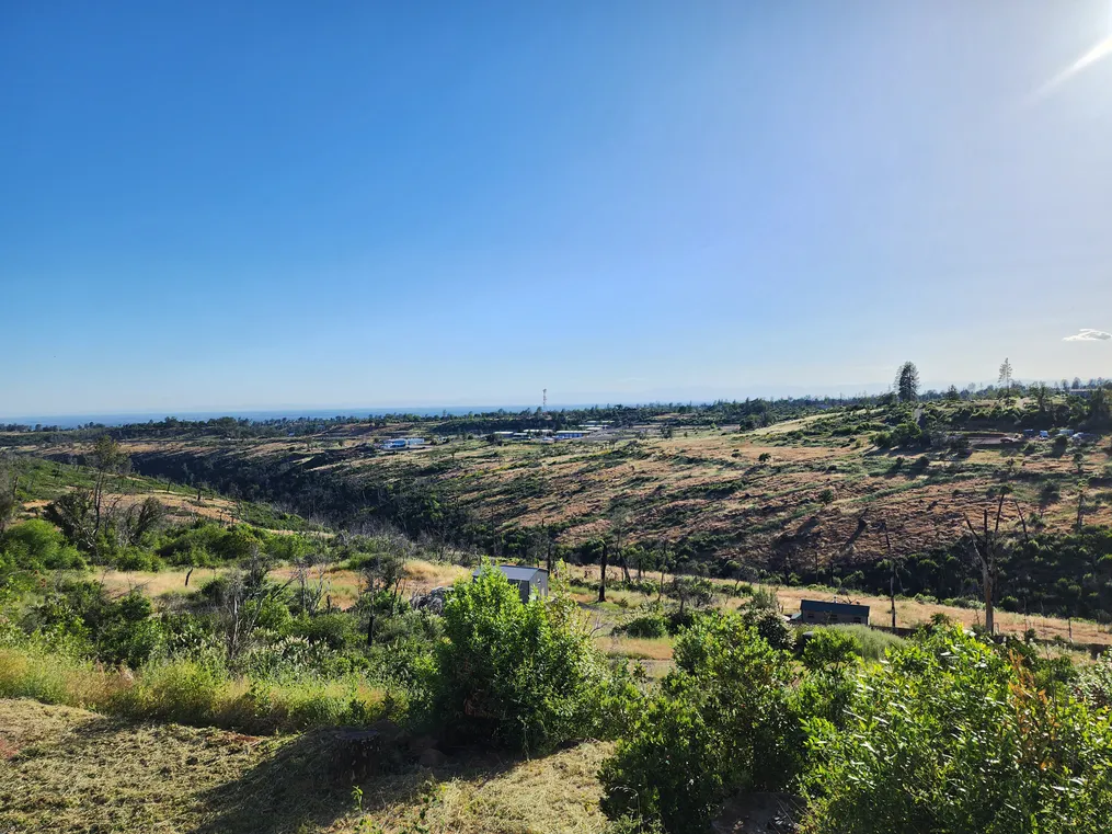 Southwest view from back yard.