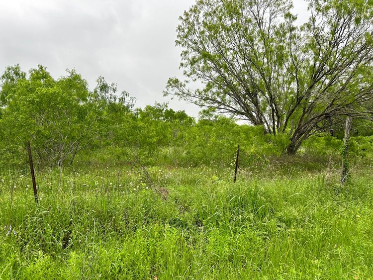 "Lockhart IS Booming! We're Growing With It AND Excited To Announce New Lots Coming Soon! 
ready To Build Your Dream Home? Start Your Land & Home Package Journey With US Today!  
WE Offer A Range OF Financing Options - VA, Fha, AND Conventional Loans - To Make Your Homeownership Dreams A Reality! 
