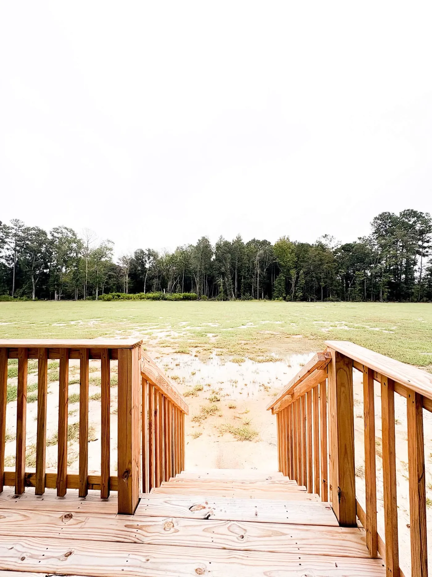 MOVE-IN READY BACKYARD