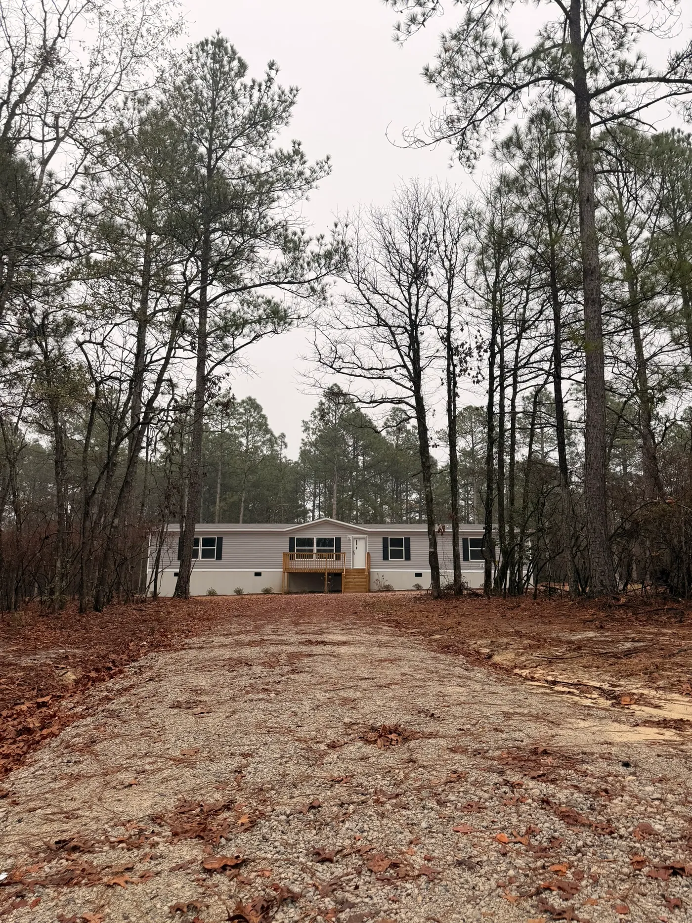 home image