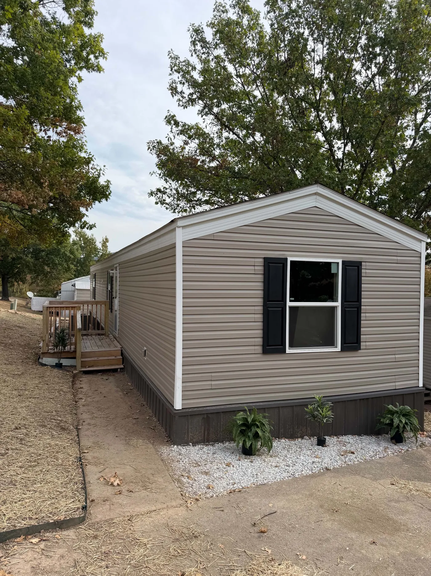 home image