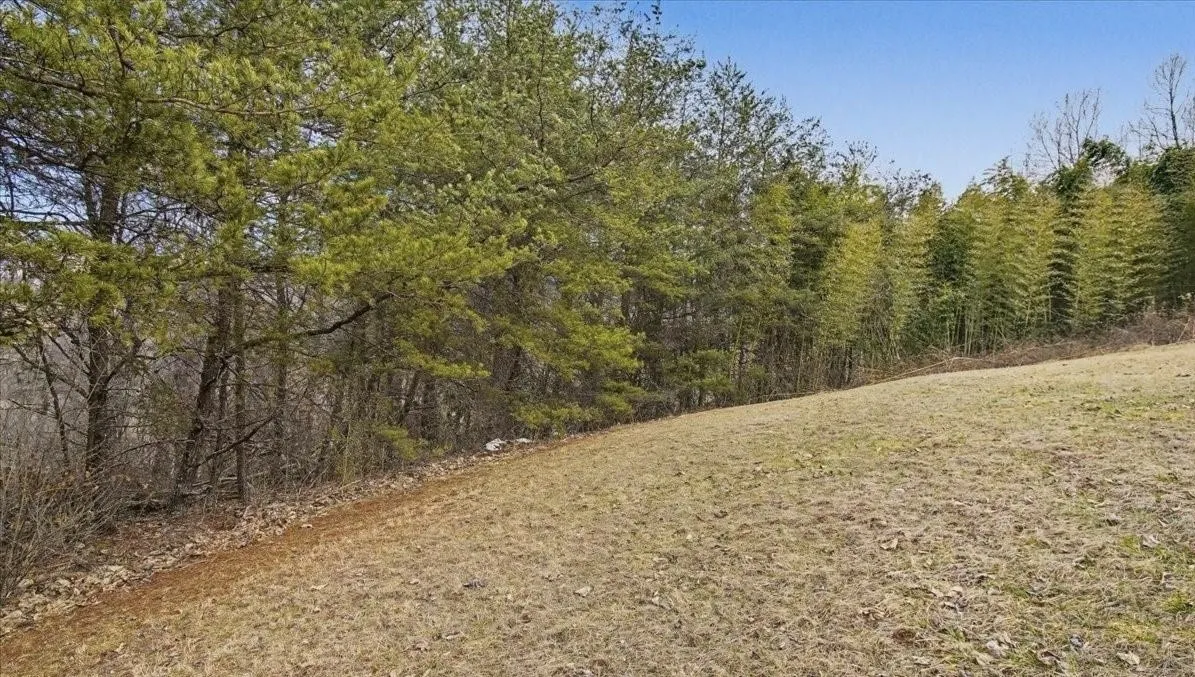 Beautiful Wooded Location with views.