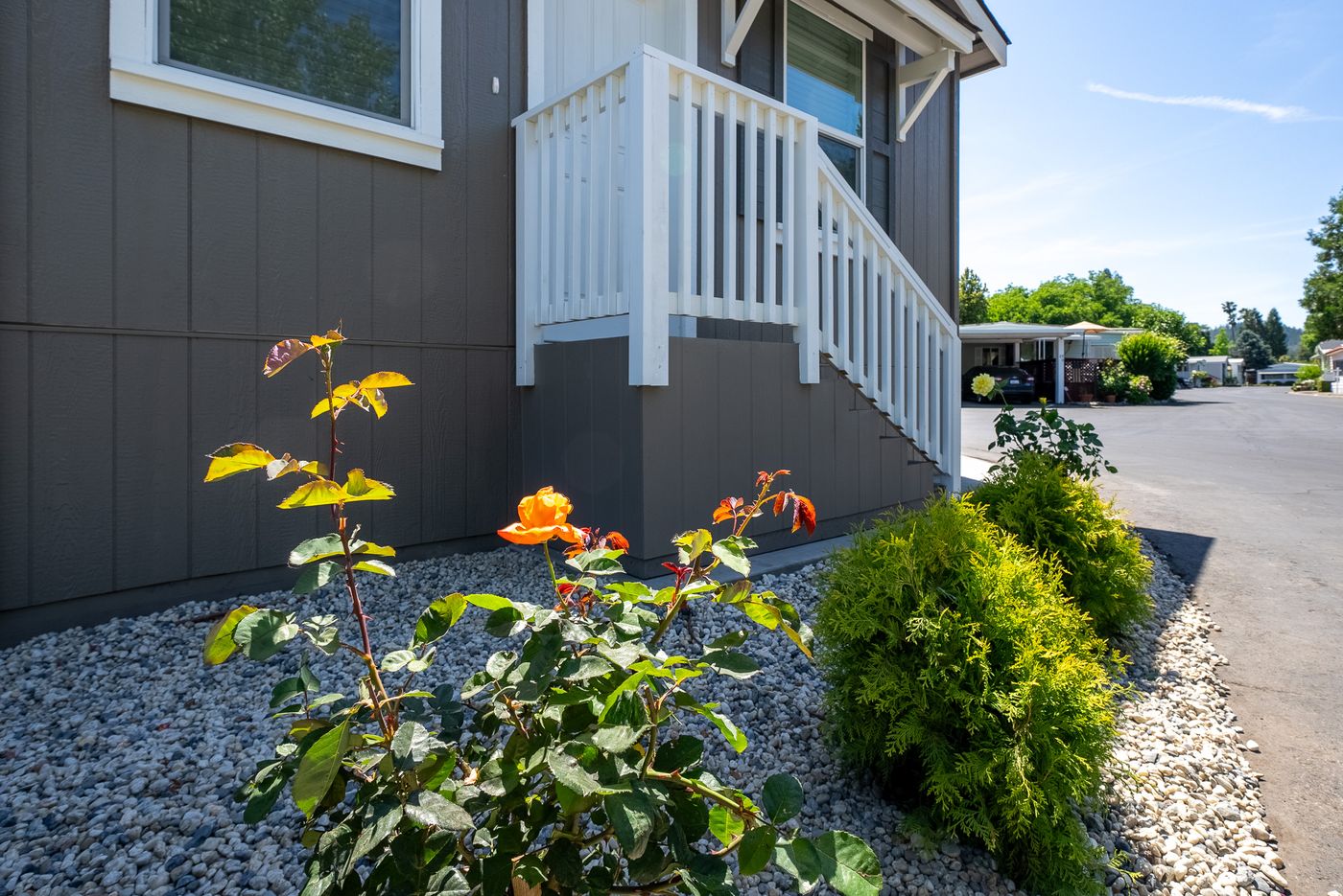 home image