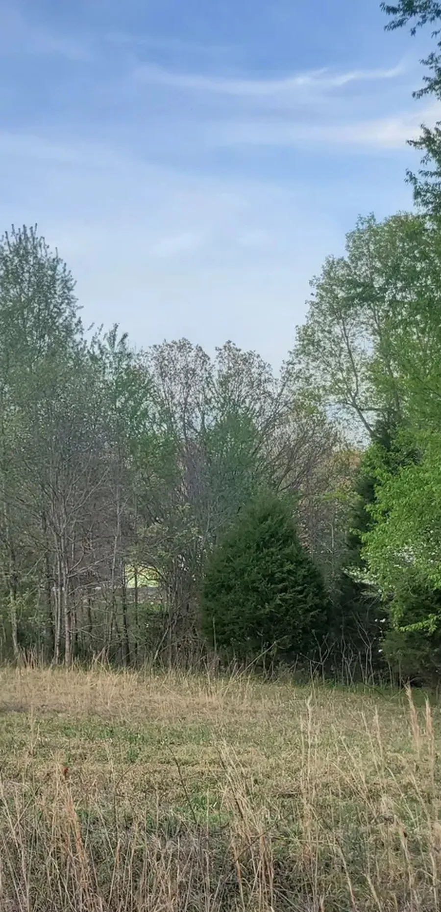 Rolling landscape