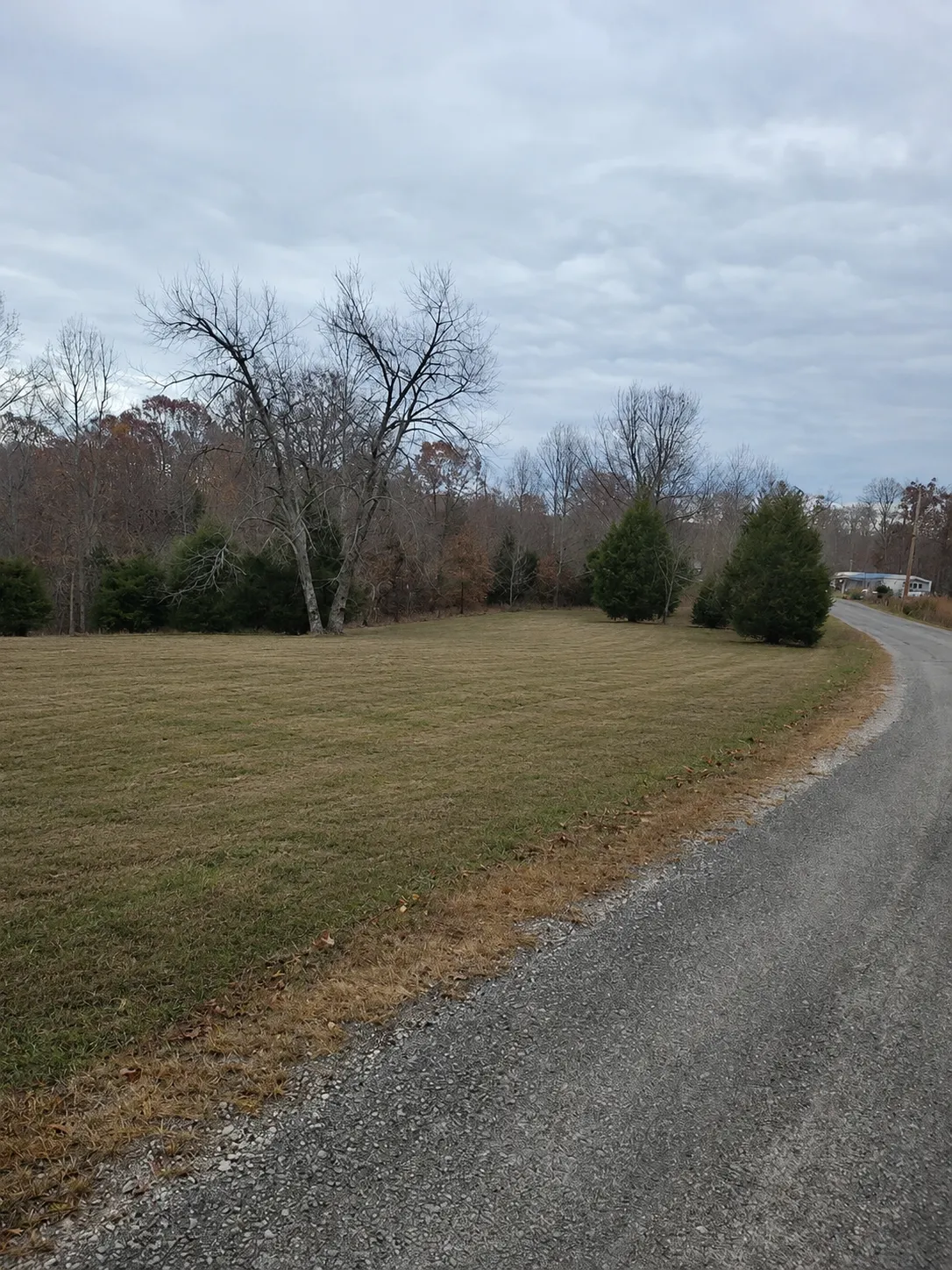 if mowed....