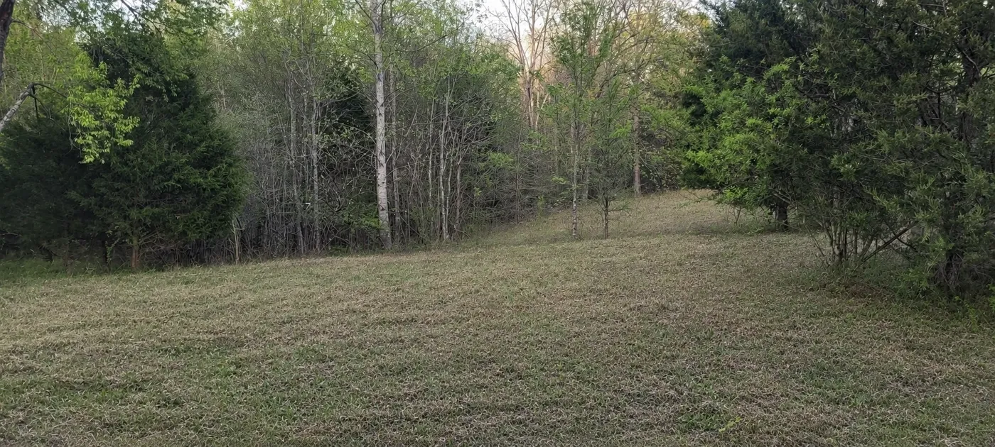 If mowed