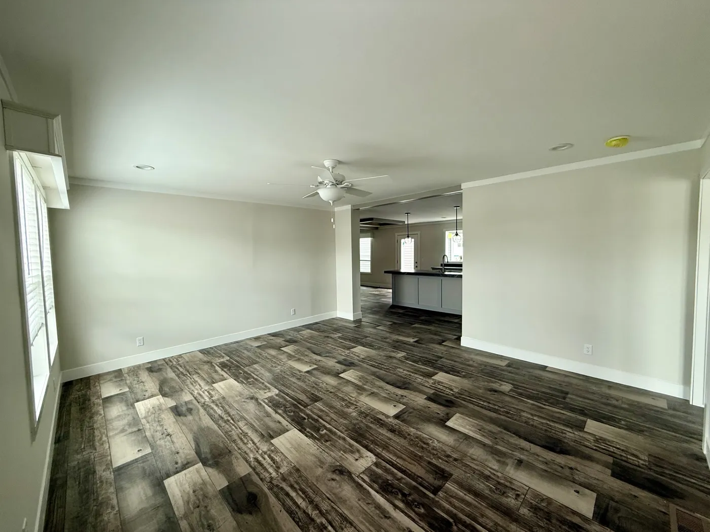 CLASSIC 56D home image