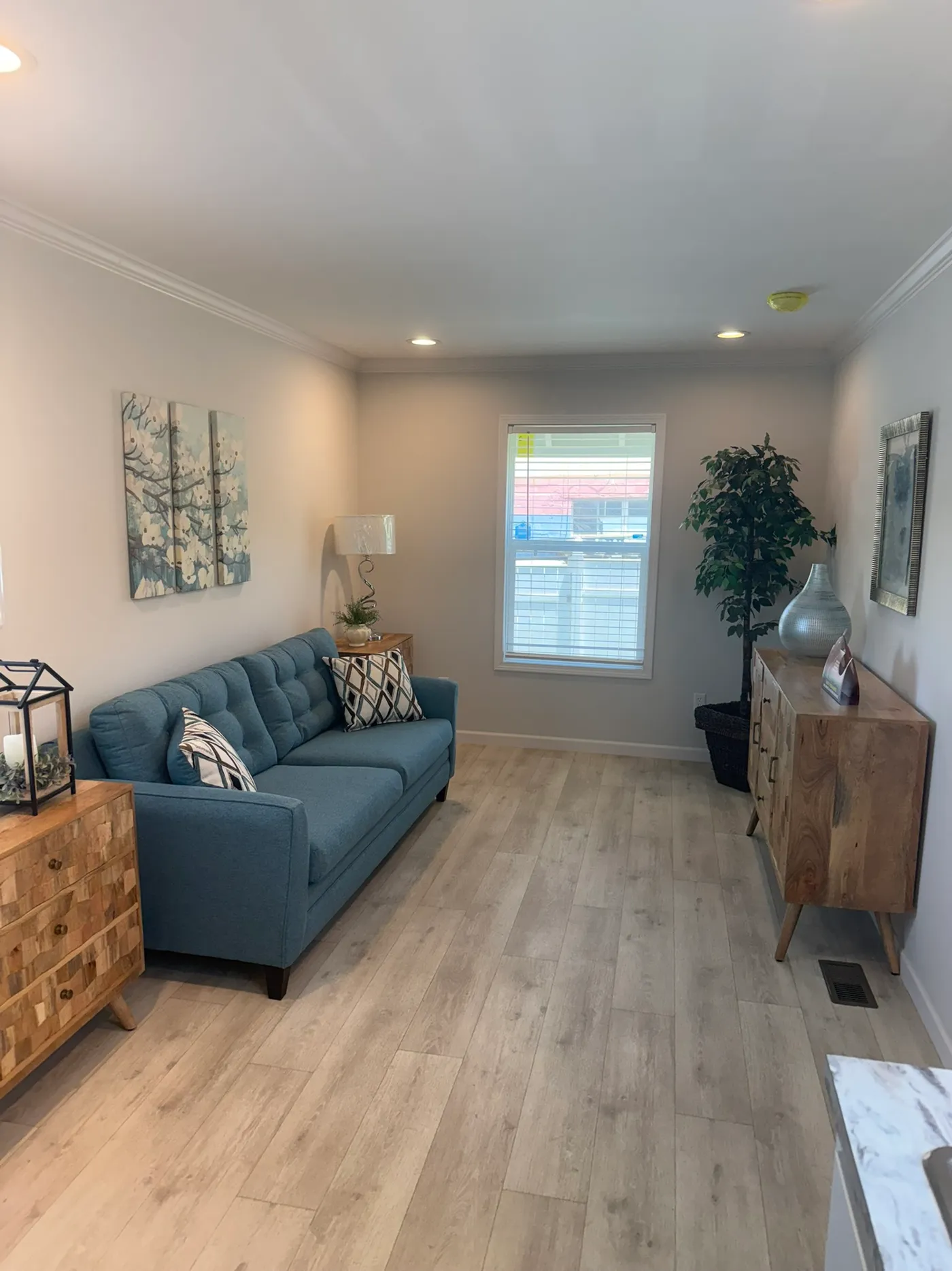 home image