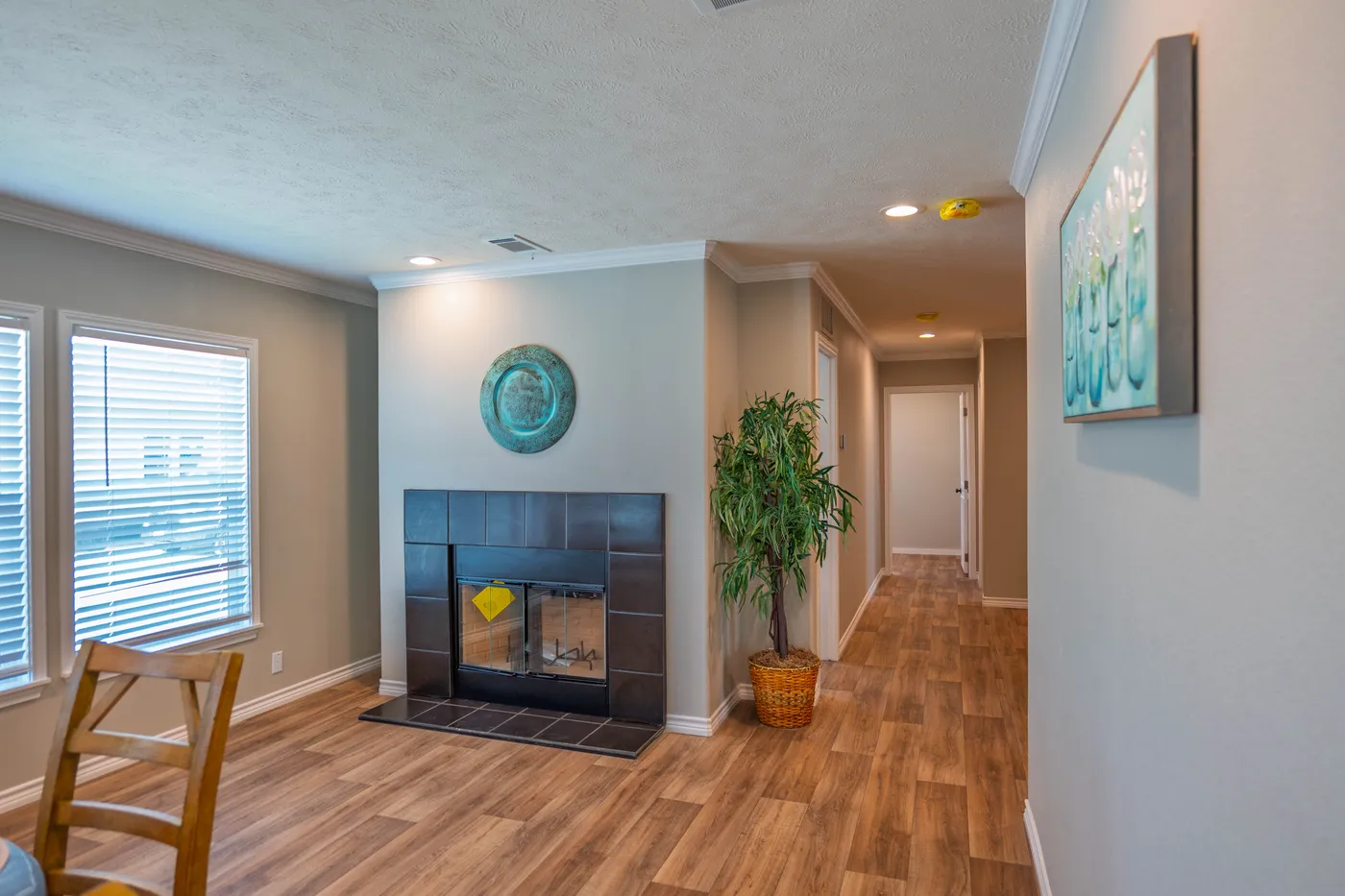 home image