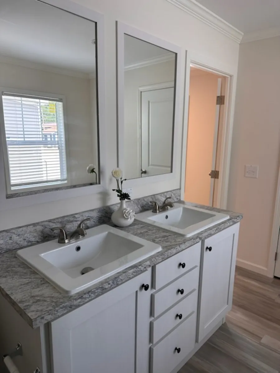 Dual Vanity