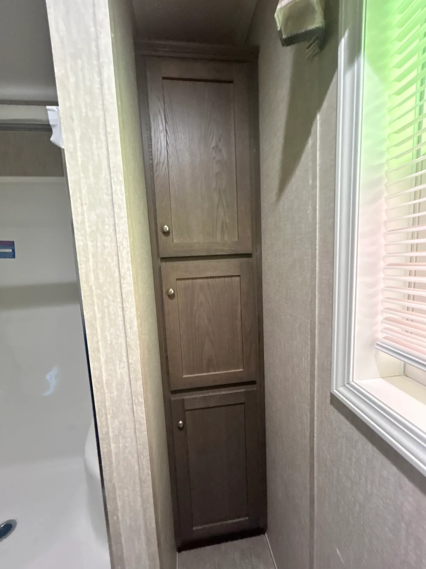 Interior storage in the main bathroom. 