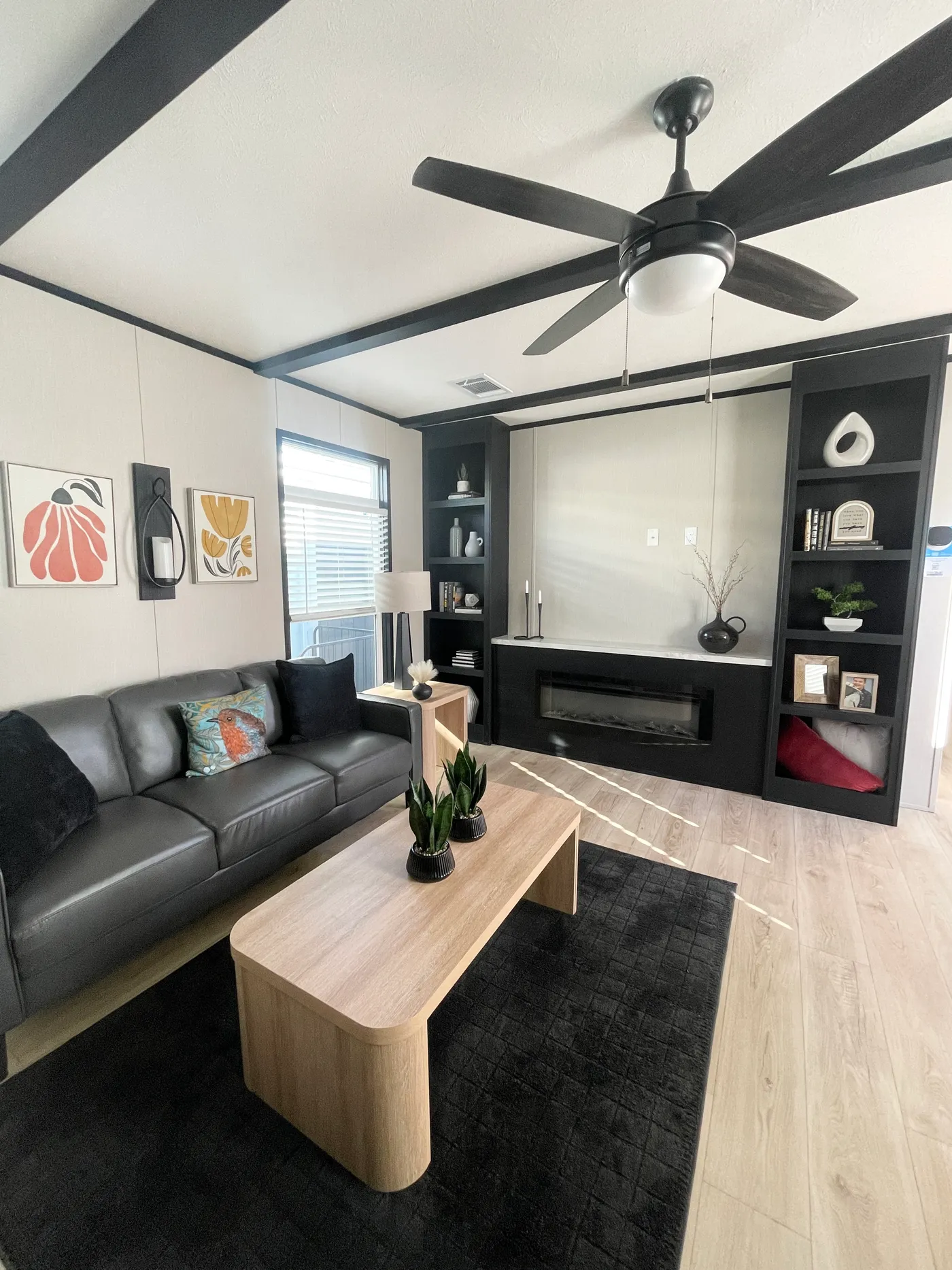 home image